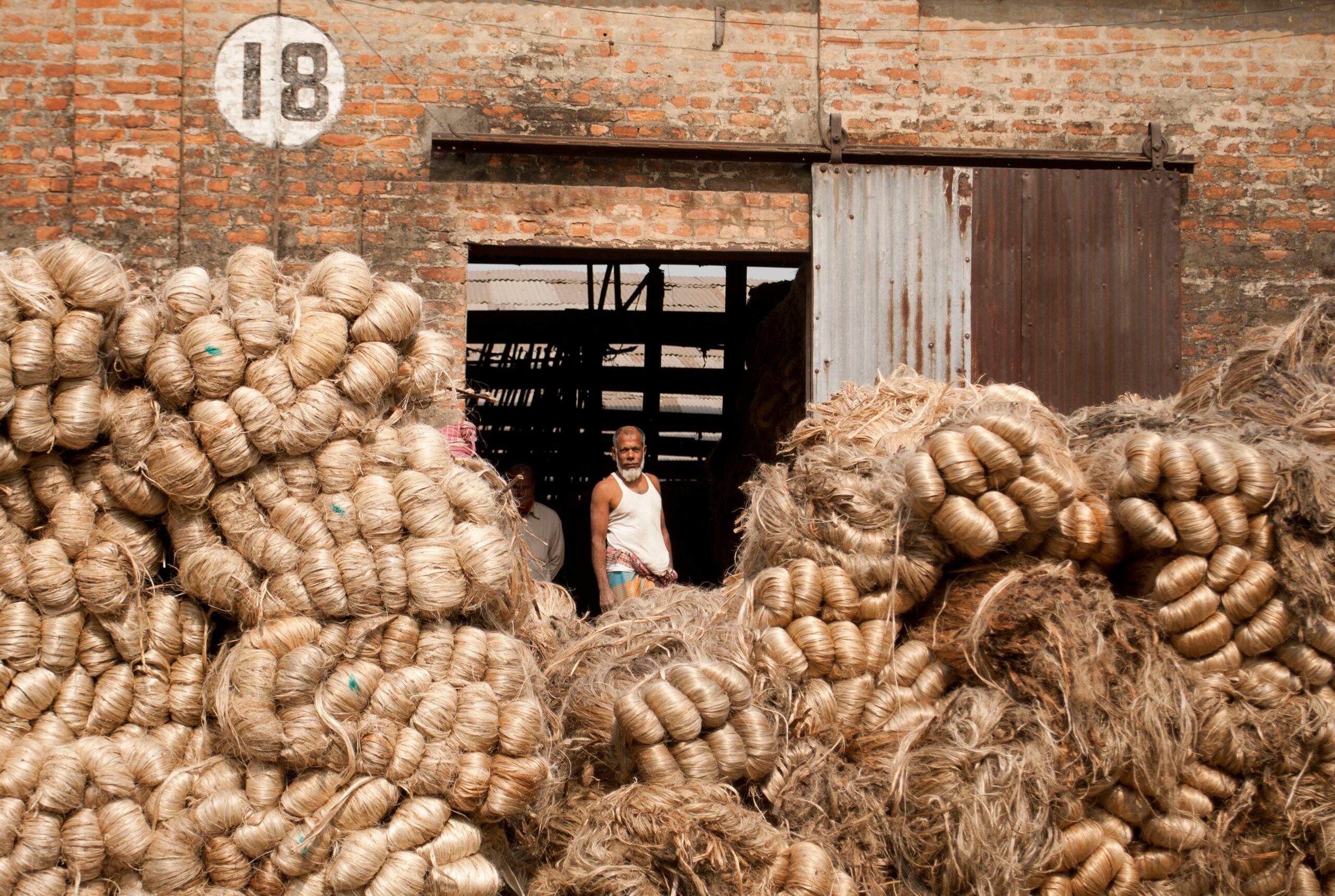 Jute